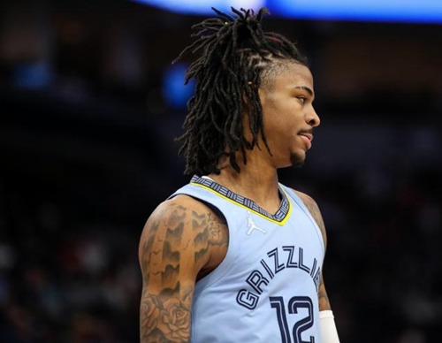 仅吸引了大 仅吸引了大